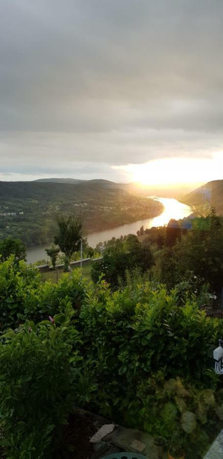 Apartment An Der Mosel 1 Graach Exteriör bild